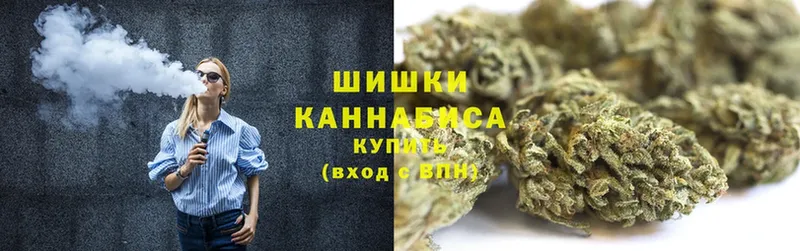 как найти наркотики  Змеиногорск  Шишки марихуана Ganja 